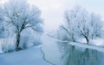 fotografía realista 07 paisaje invernal Pinturas al óleo